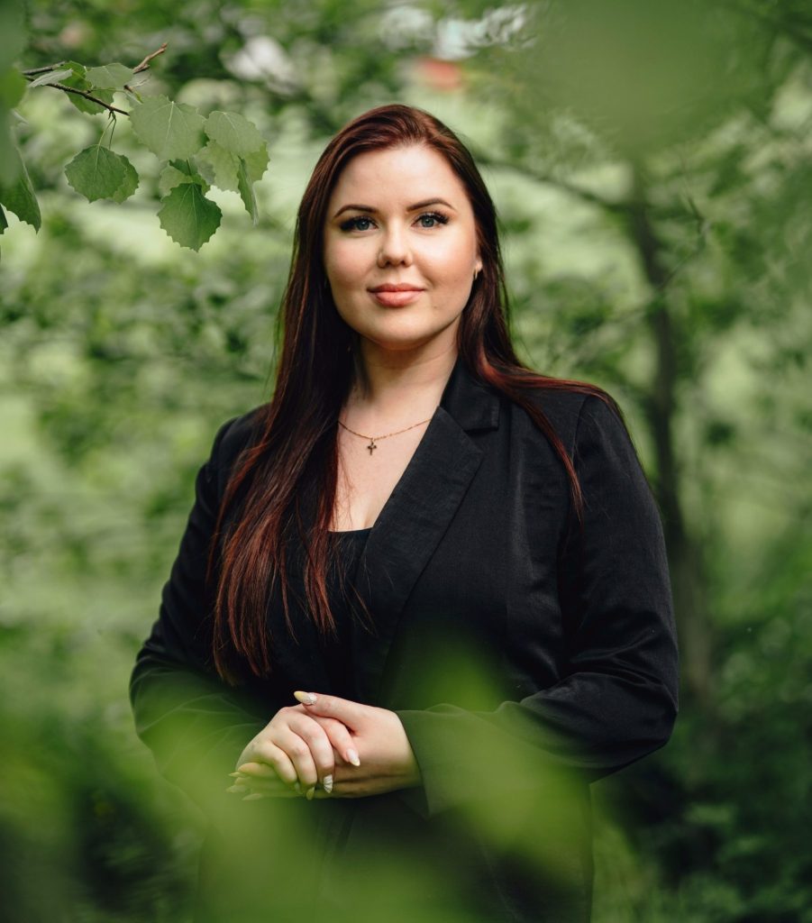 Vlada Sinivirta